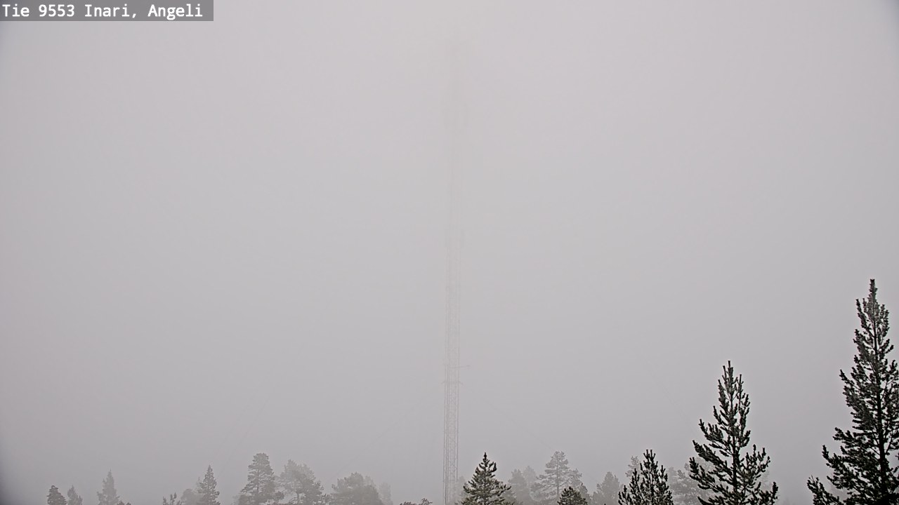 Weather Camera Image Road 9553 Inari, Angeli, Lintupuolivaara, Inari, Lappi