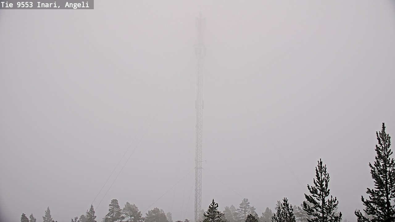 Weather Camera Image Road 9553 Inari, Angeli, Lintupuolivaara, Inari, Lappi