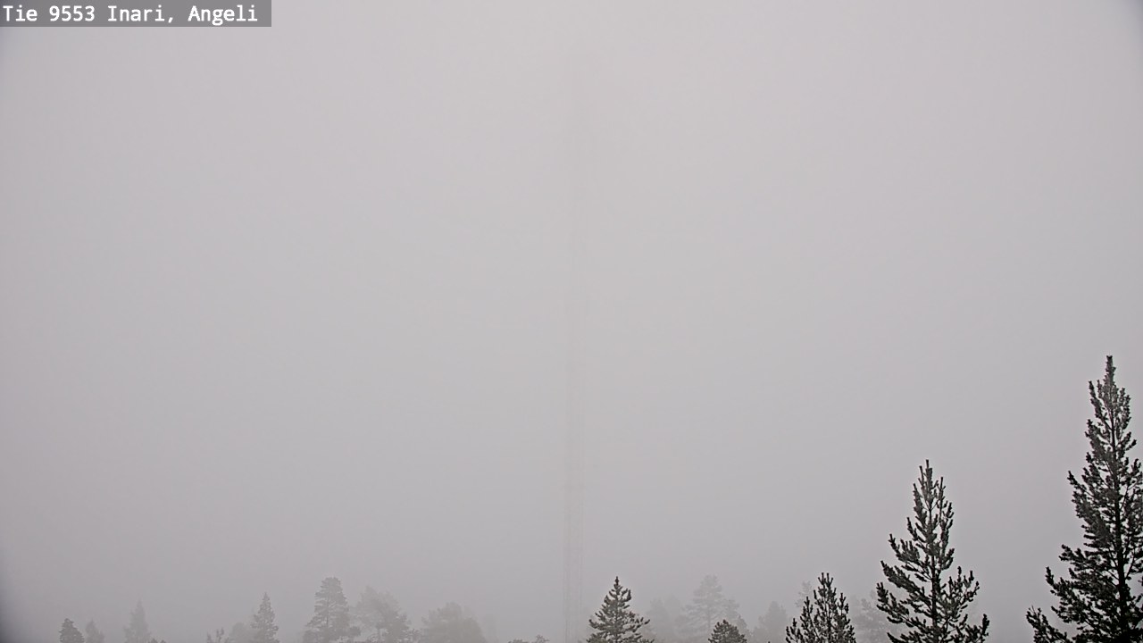 Weather Camera Image Road 9553 Inari, Angeli, Lintupuolivaara, Inari, Lappi