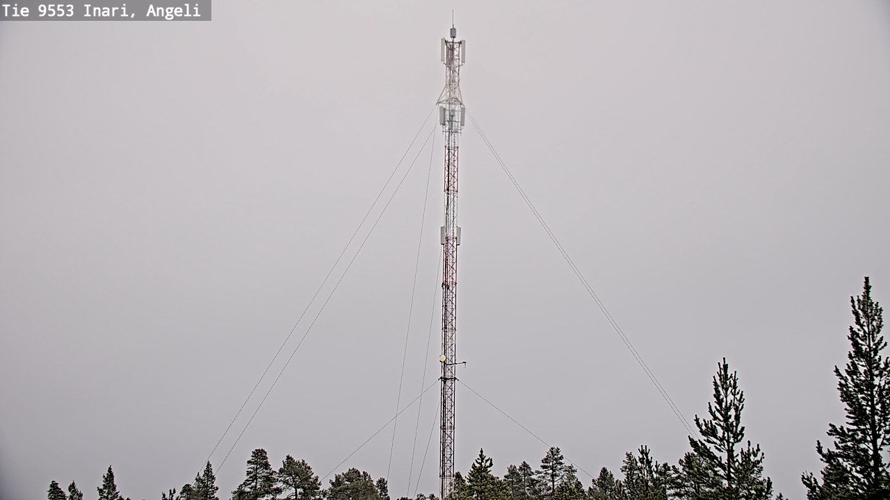 Weather Camera Image Road 9553 Inari, Angeli, Lintupuolivaara, Inari, Lappi