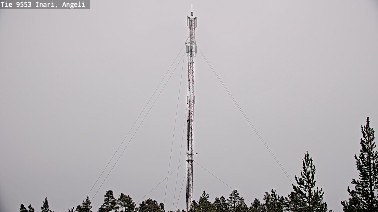 Kelikamerat Kuva Tie 9553 Inari, Angeli, Lintupuolivaara, Inari, Lappi