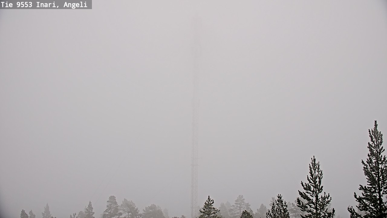 Weather Camera Image Road 9553 Inari, Angeli, Lintupuolivaara, Inari, Lappi