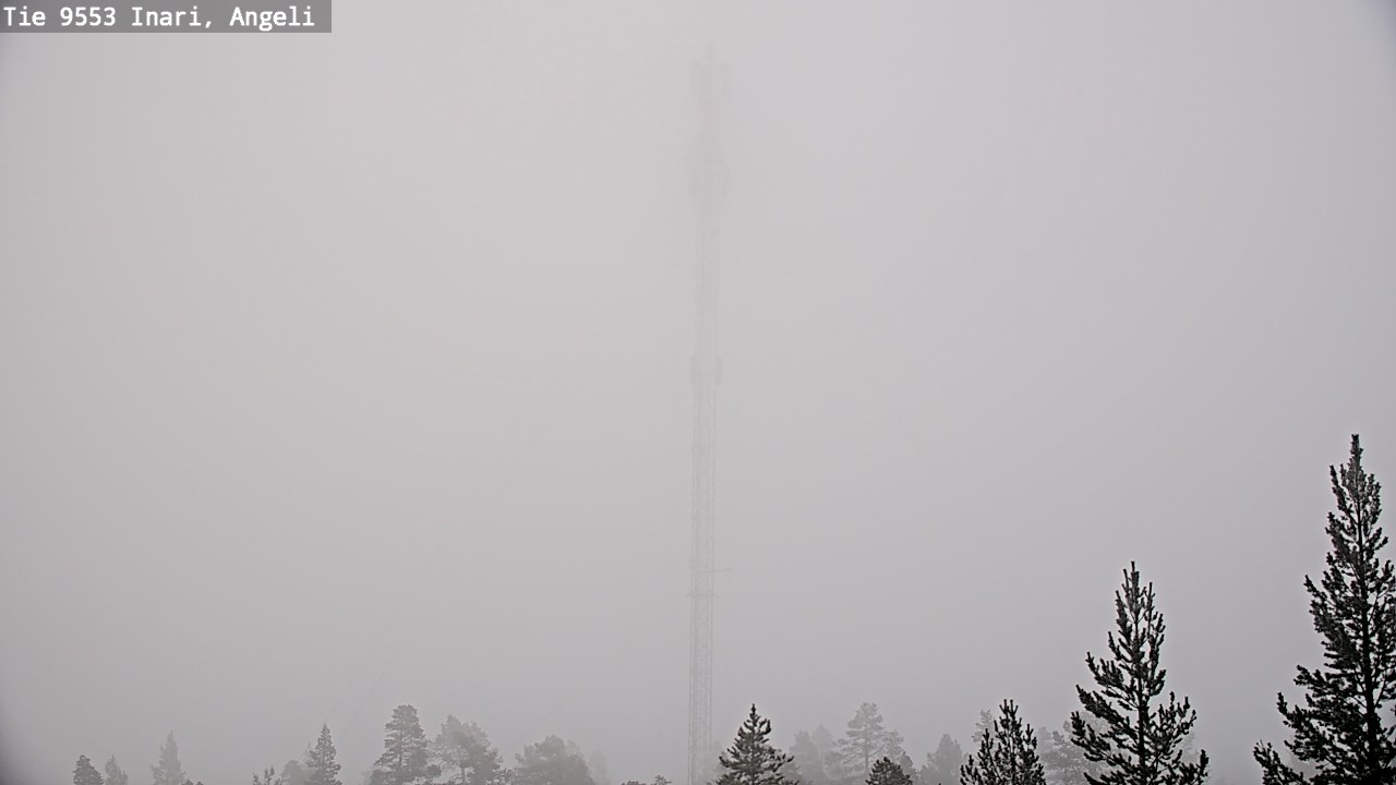 Weather Camera Image Road 9553 Inari, Angeli, Lintupuolivaara, Inari, Lappi