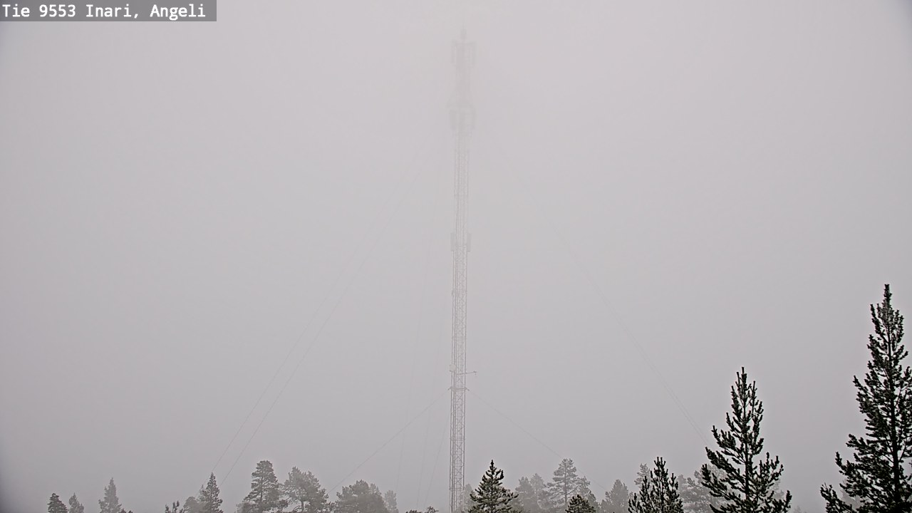 Weather Camera Image Road 9553 Inari, Angeli, Lintupuolivaara, Inari, Lappi