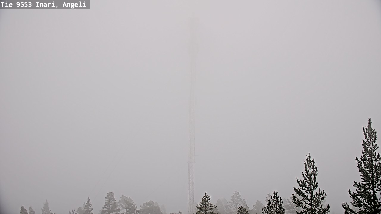 Weather Camera Image Road 9553 Inari, Angeli, Lintupuolivaara, Inari, Lappi