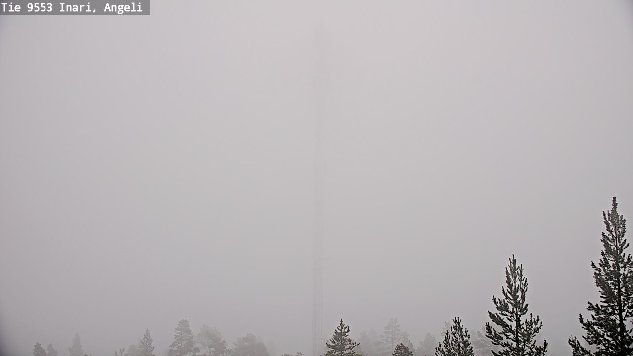 Weather Camera Image Road 9553 Inari, Angeli, Lintupuolivaara, Inari, Lappi