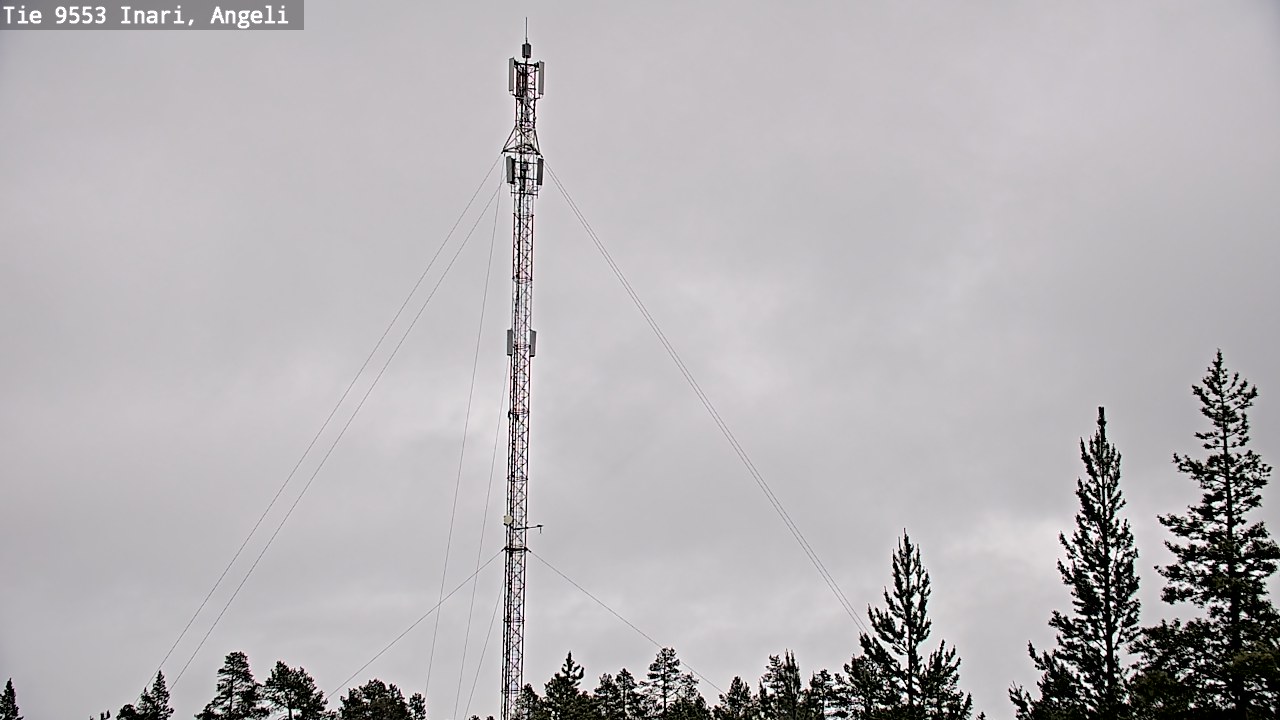 Weather Camera Image Väg 9553 Inari, Angeli, Lintupuolivaara, Inari, Lappi