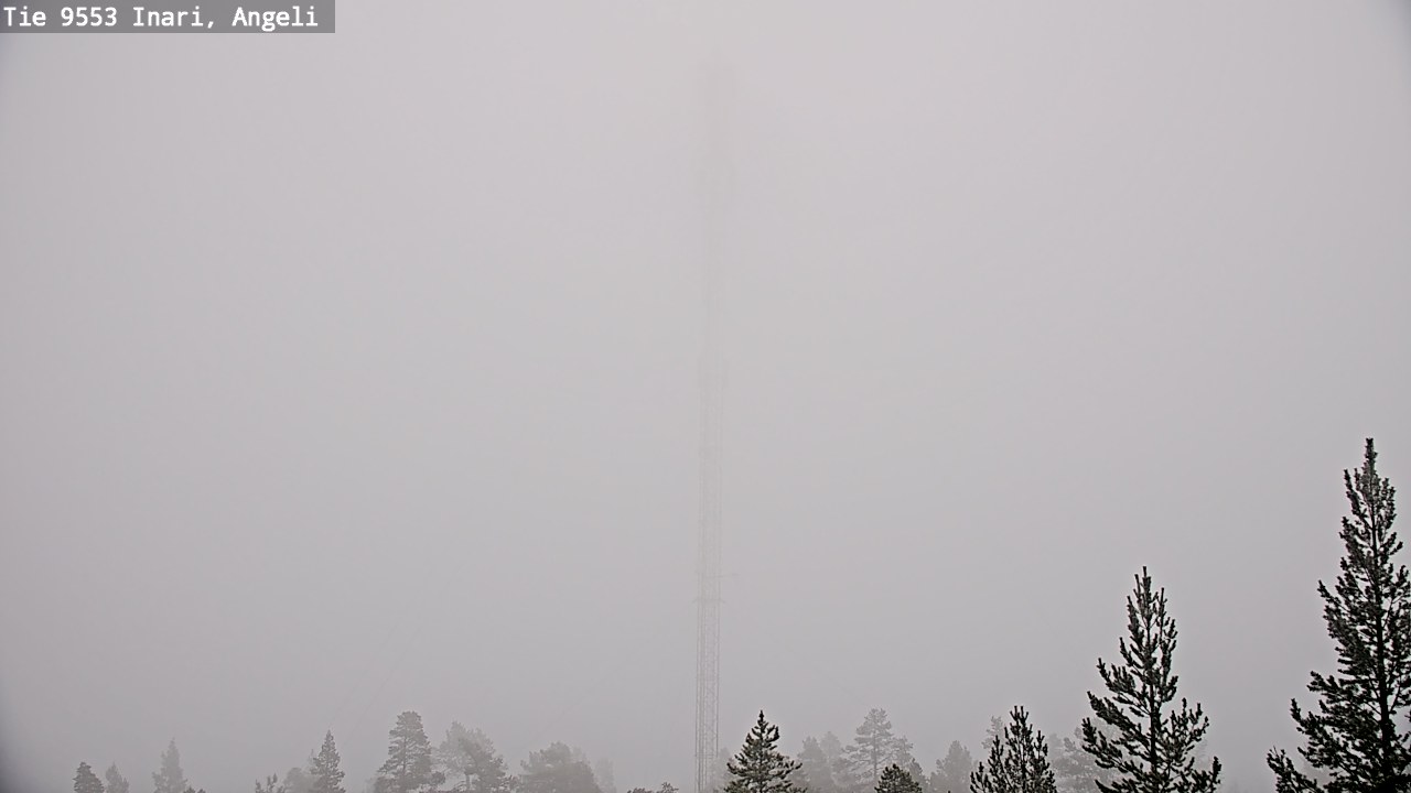 Weather Camera Image Road 9553 Inari, Angeli, Lintupuolivaara, Inari, Lappi