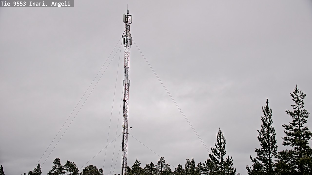 Weather Camera Image Road 9553 Inari, Angeli, Lintupuolivaara, Inari, Lappi