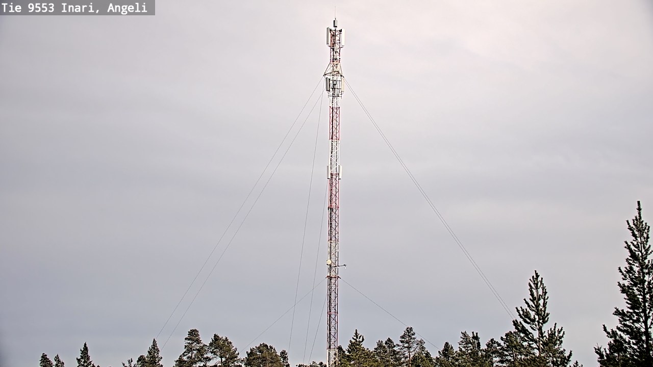 Weather Camera Image Road 9553 Inari, Angeli, Lintupuolivaara, Inari, Lappi