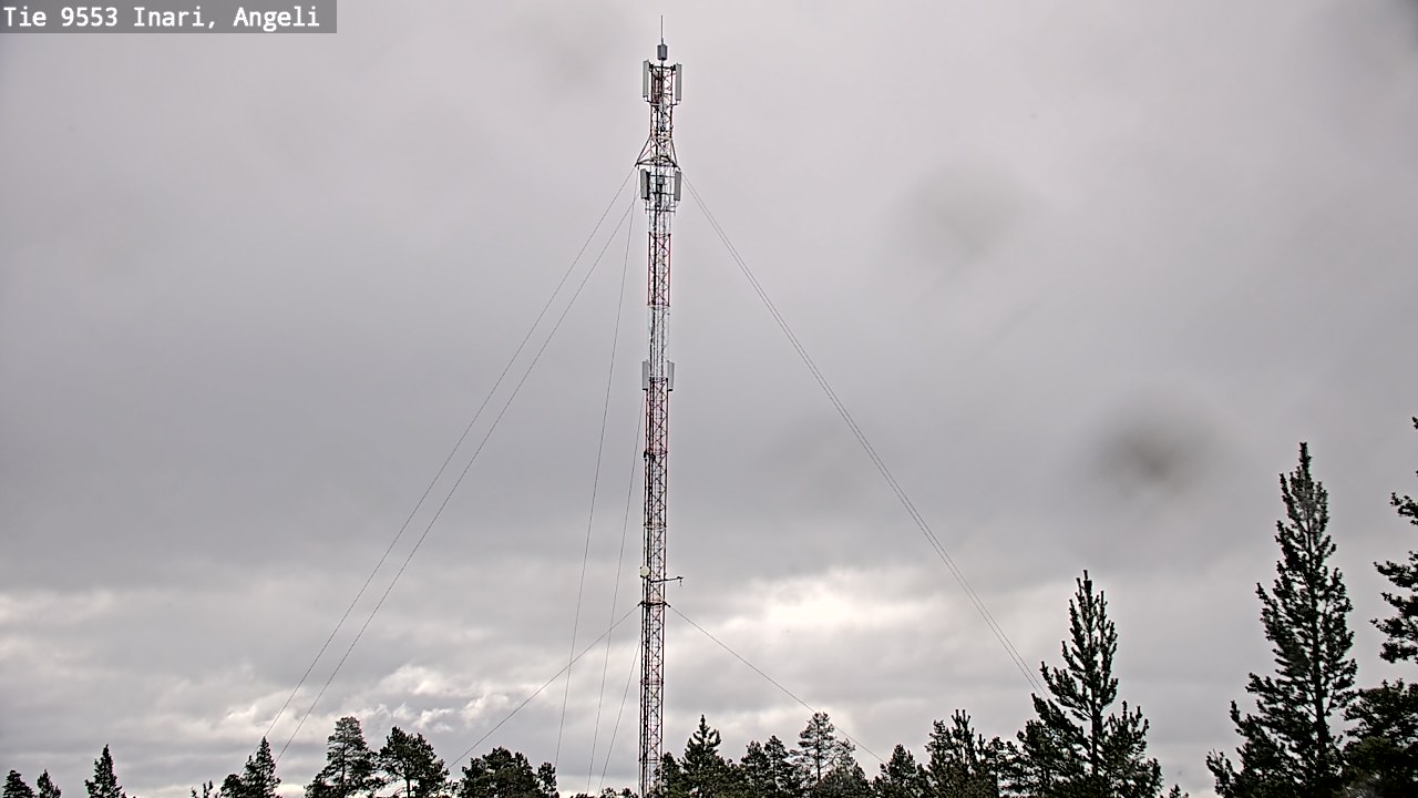 Weather Camera Image Road 9553 Inari, Angeli, Lintupuolivaara, Inari, Lappi
