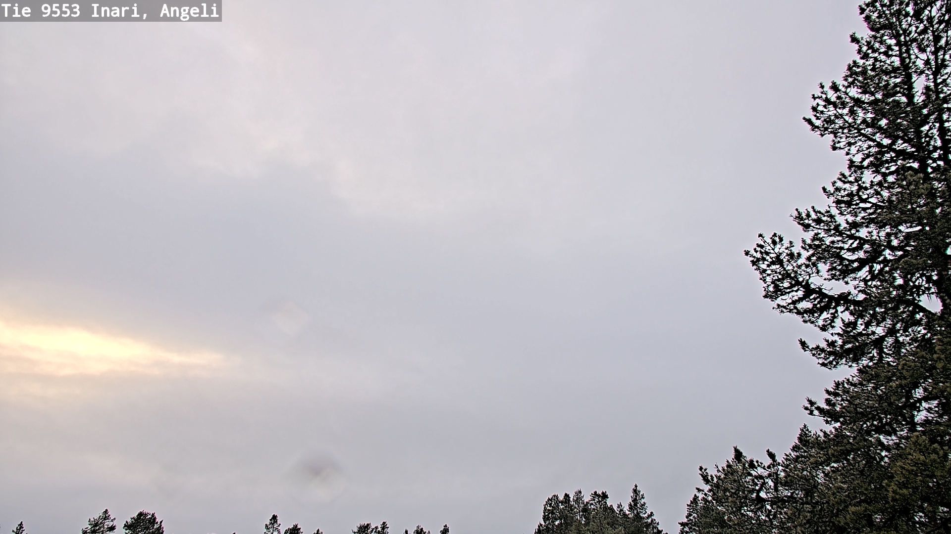 Kelikamerat Kuva Tie 9553 Inari, Angeli, Lintupuolivaara, Inari, Lappi