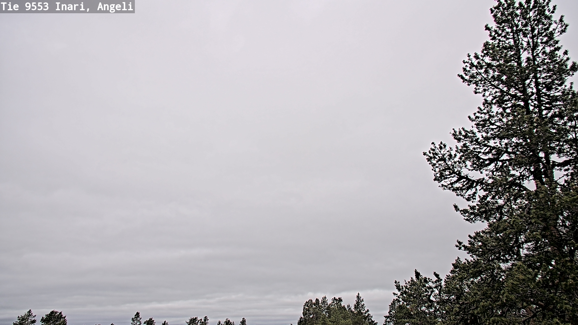 Weather Camera Image Väg 9553 Inari, Angeli, Lintupuolivaara, Inari, Lappi