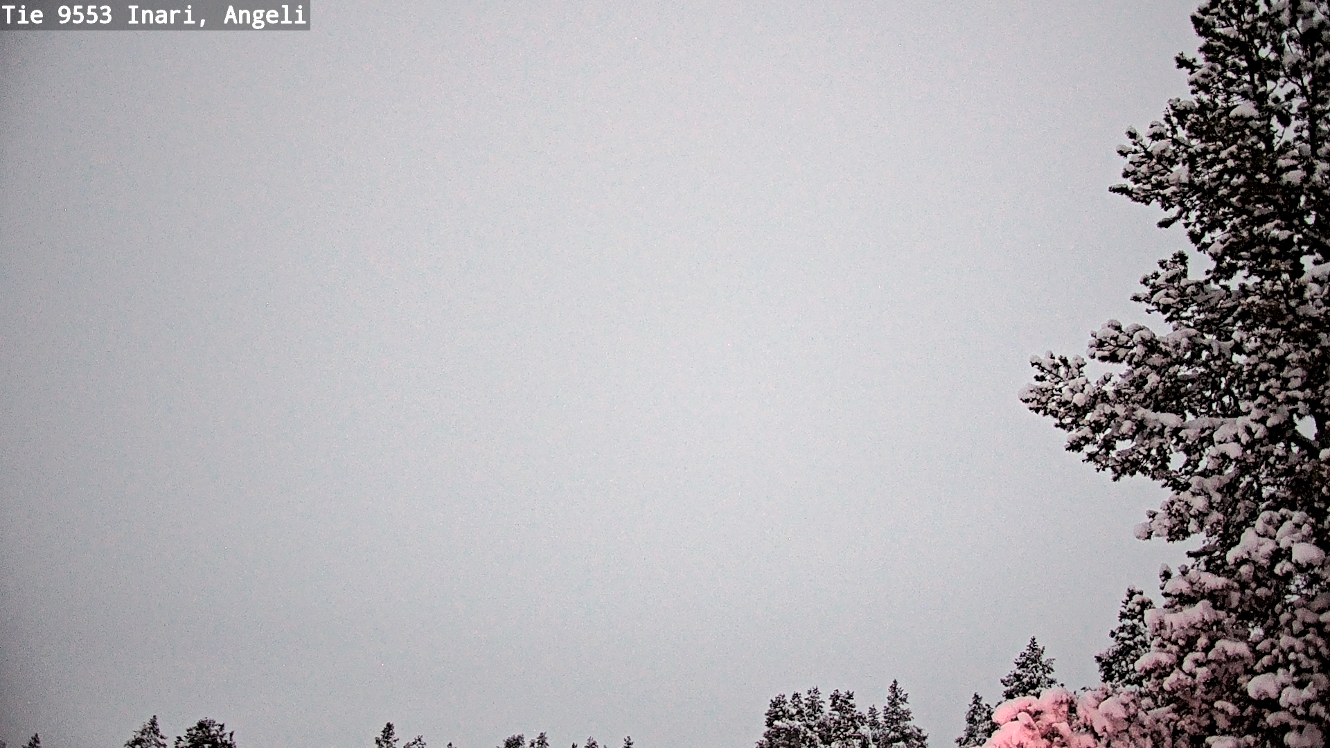 Kelikamerat Kuva Tie 9553 Inari, Angeli, Lintupuolivaara, Inari, Lappi