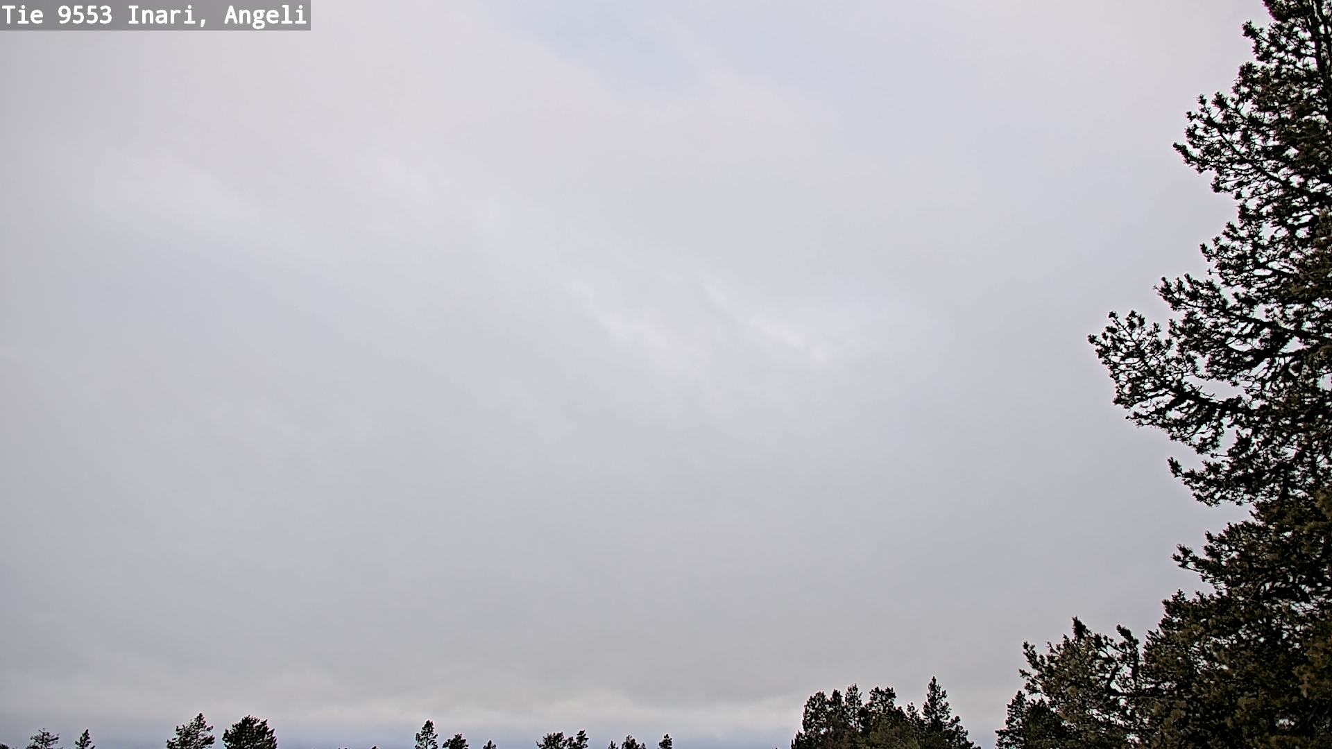 Weather Camera Image Road 9553 Inari, Angeli, Lintupuolivaara, Inari, Lappi