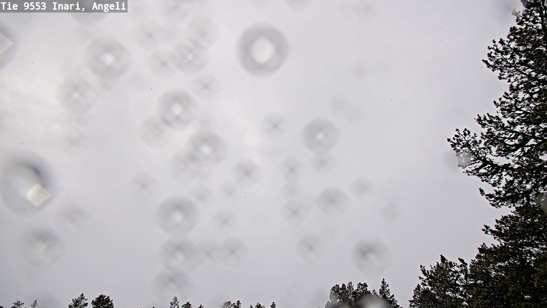 Kelikamerat Kuva Tie 9553 Inari, Angeli, Lintupuolivaara, Inari, Lappi