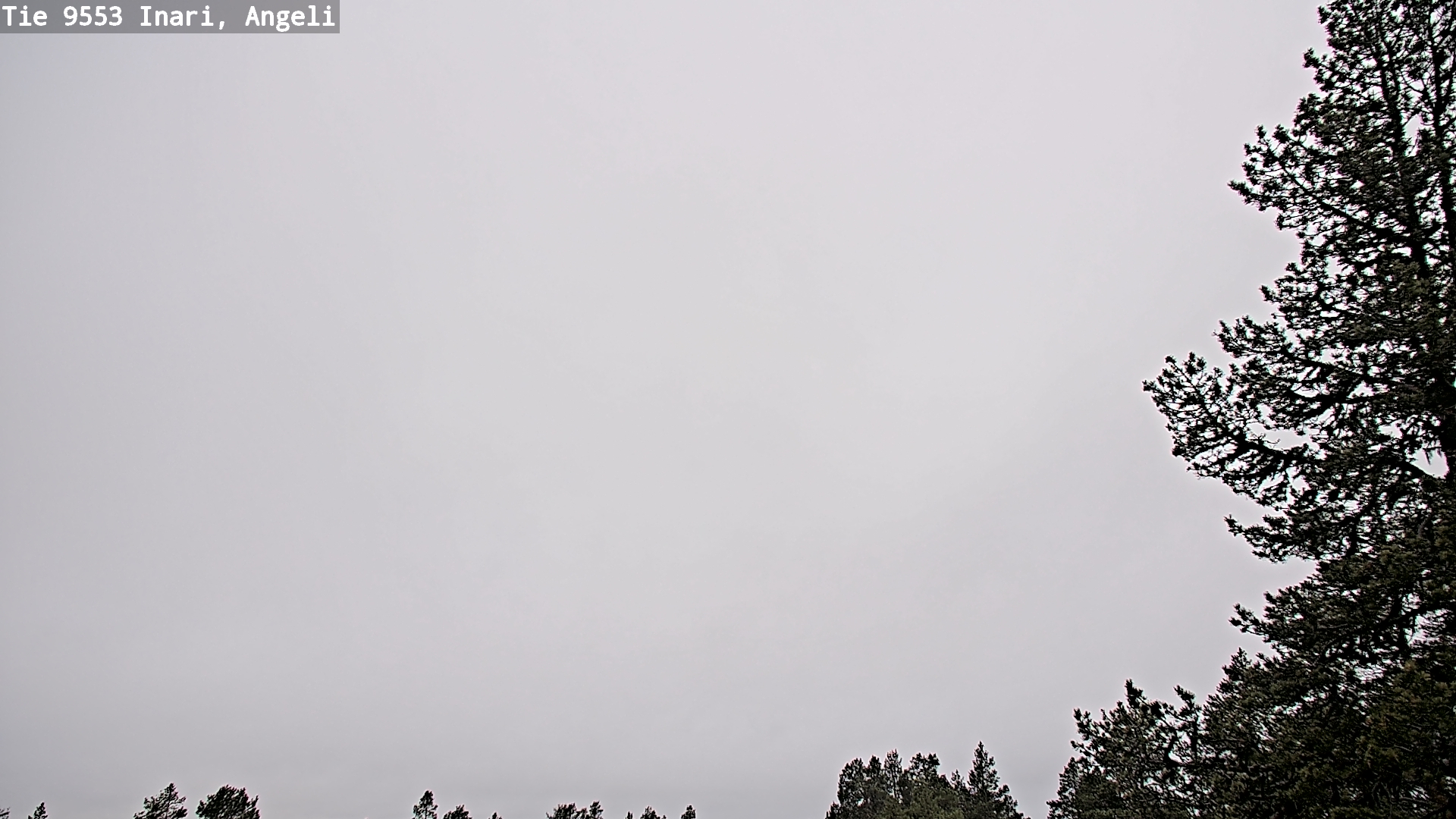 Kelikamerat Kuva Tie 9553 Inari, Angeli, Lintupuolivaara, Inari, Lappi