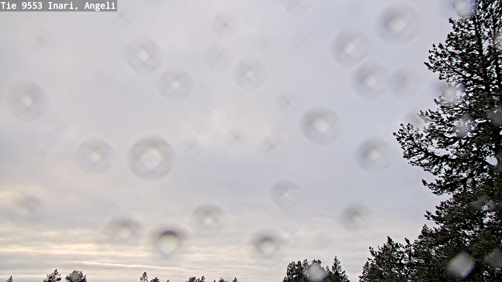 Kelikamerat Kuva Tie 9553 Inari, Angeli, Lintupuolivaara, Inari, Lappi