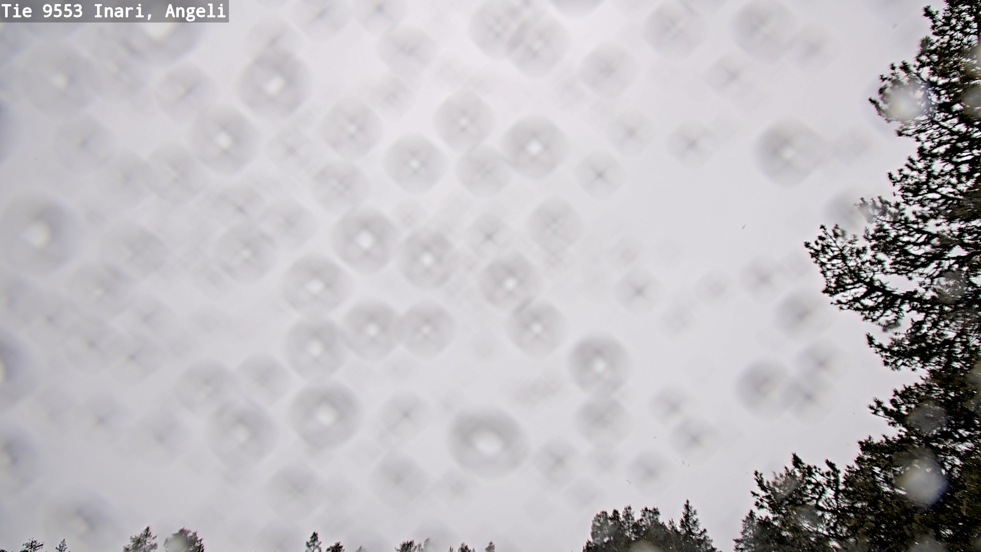 Kelikamerat Kuva Tie 9553 Inari, Angeli, Lintupuolivaara, Inari, Lappi