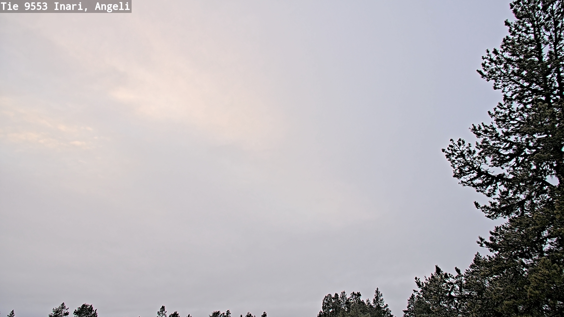 Kelikamerat Kuva Tie 9553 Inari, Angeli, Lintupuolivaara, Inari, Lappi