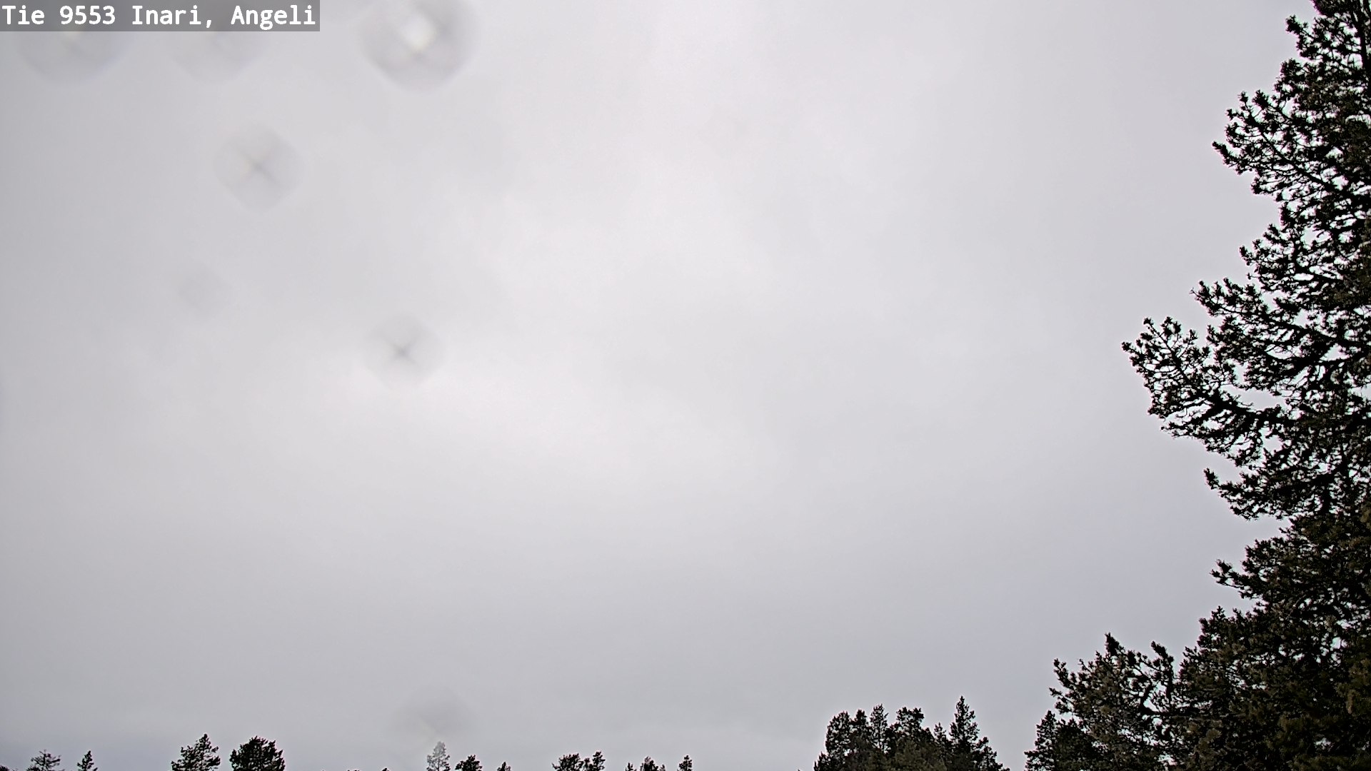 Weather Camera Image Road 9553 Inari, Angeli, Lintupuolivaara, Inari, Lappi