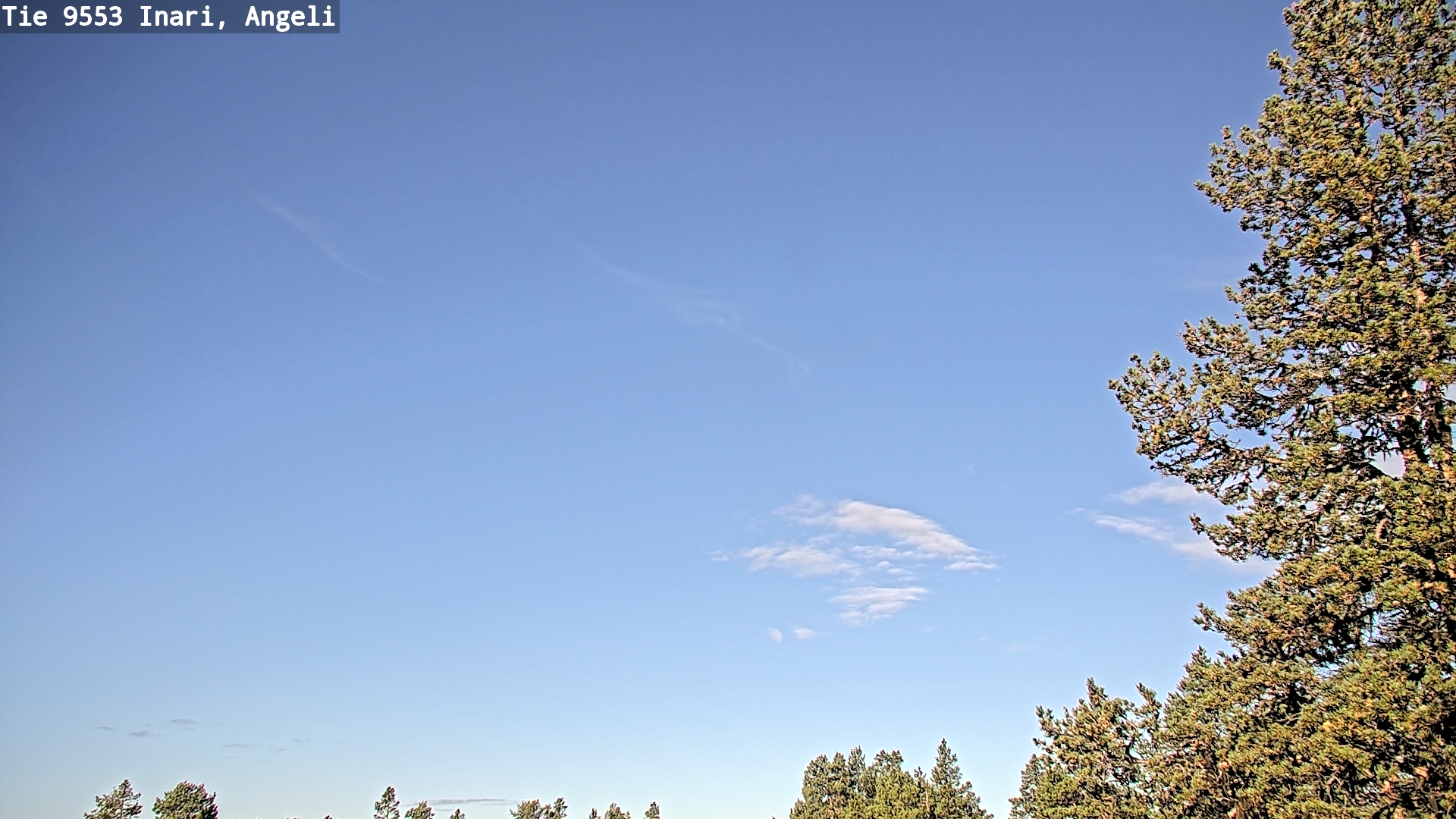 Weather Camera Image Road 9553 Inari, Angeli, Lintupuolivaara, Inari, Lappi