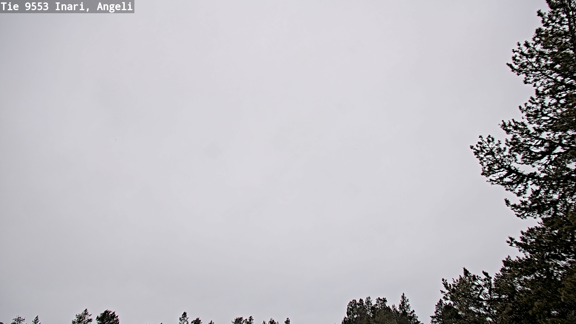 Kelikamerat Kuva Tie 9553 Inari, Angeli, Lintupuolivaara, Inari, Lappi