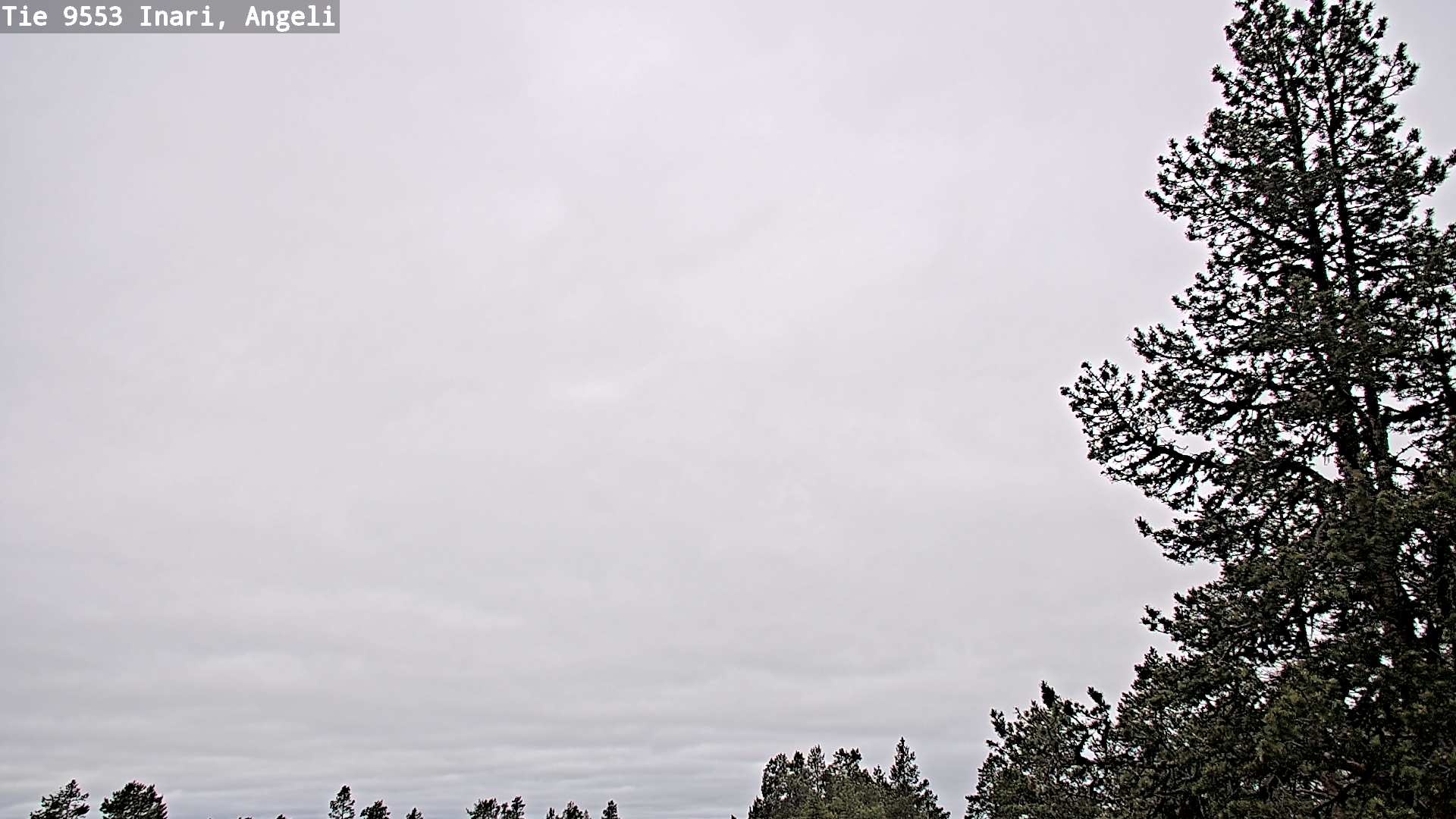 Weather Camera Image Road 9553 Inari, Angeli, Lintupuolivaara, Inari, Lappi