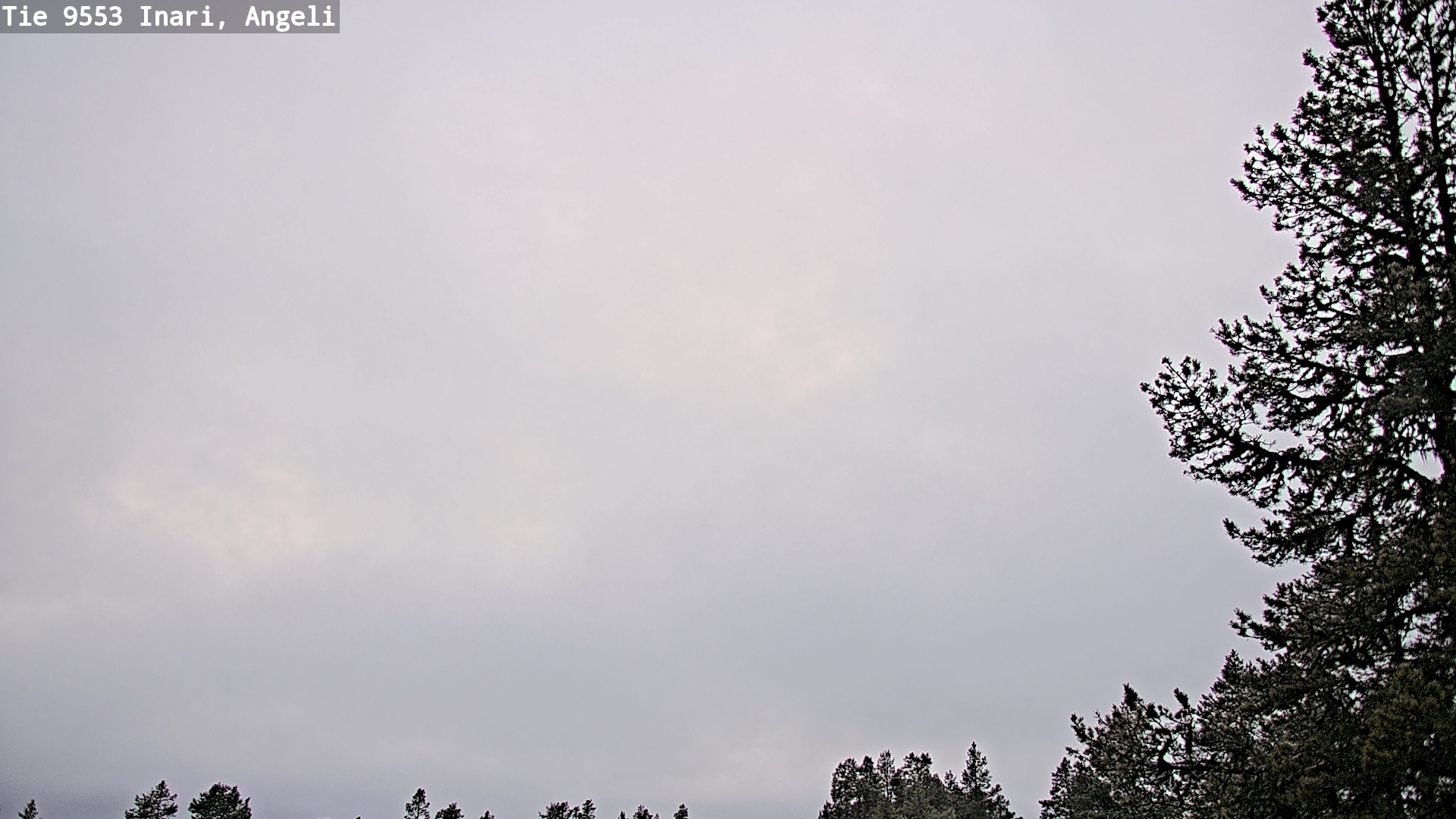 Kelikamerat Kuva Tie 9553 Inari, Angeli, Lintupuolivaara, Inari, Lappi