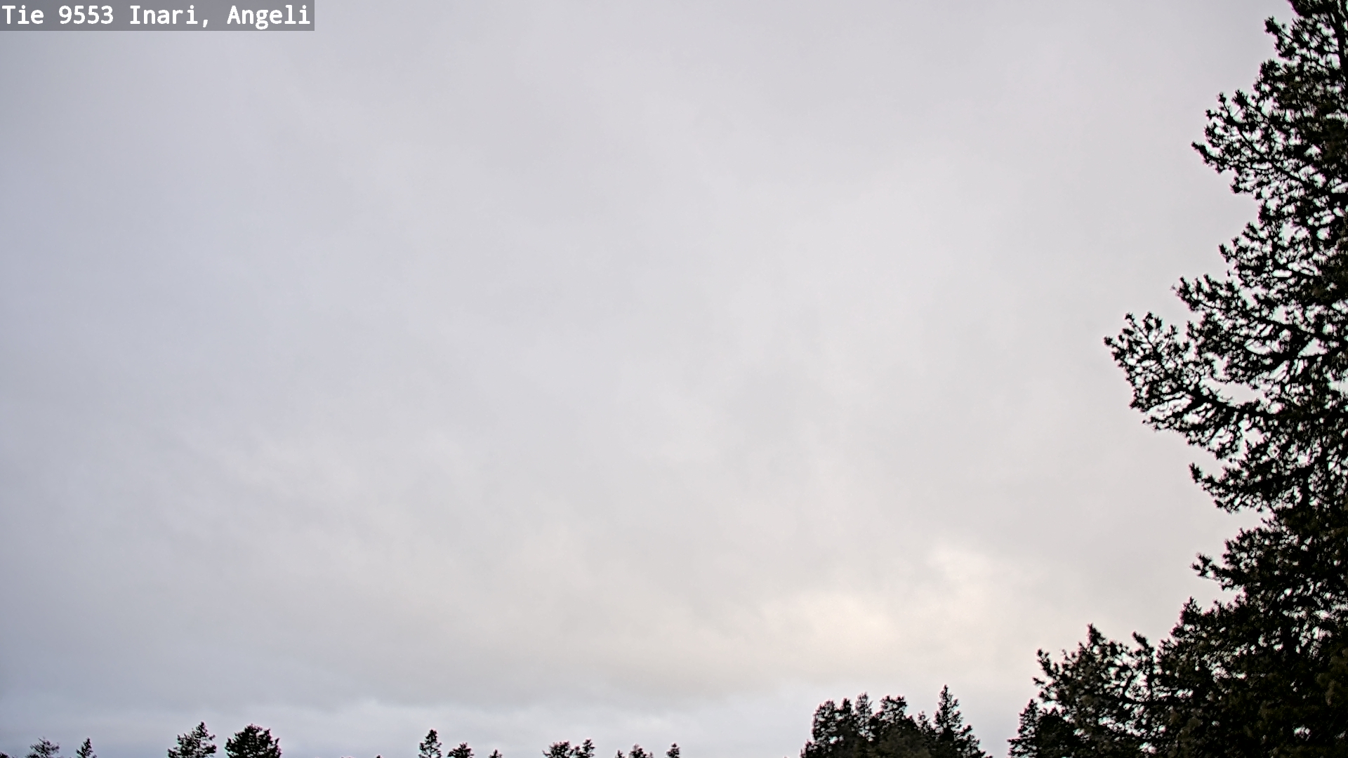 Weather Camera Image Road 9553 Inari, Angeli, Lintupuolivaara, Inari, Lappi