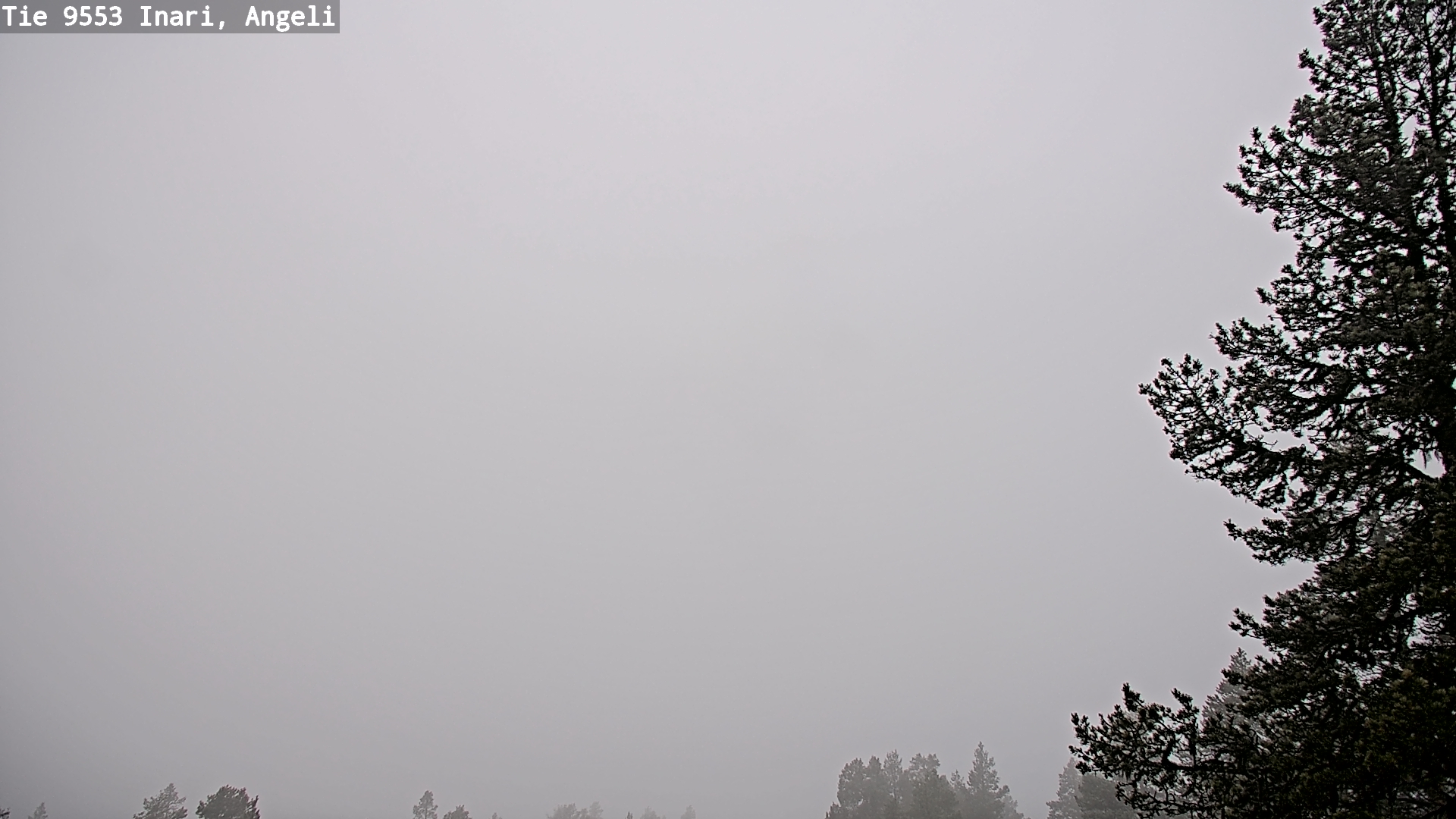 Weather Camera Image Road 9553 Inari, Angeli, Lintupuolivaara, Inari, Lappi