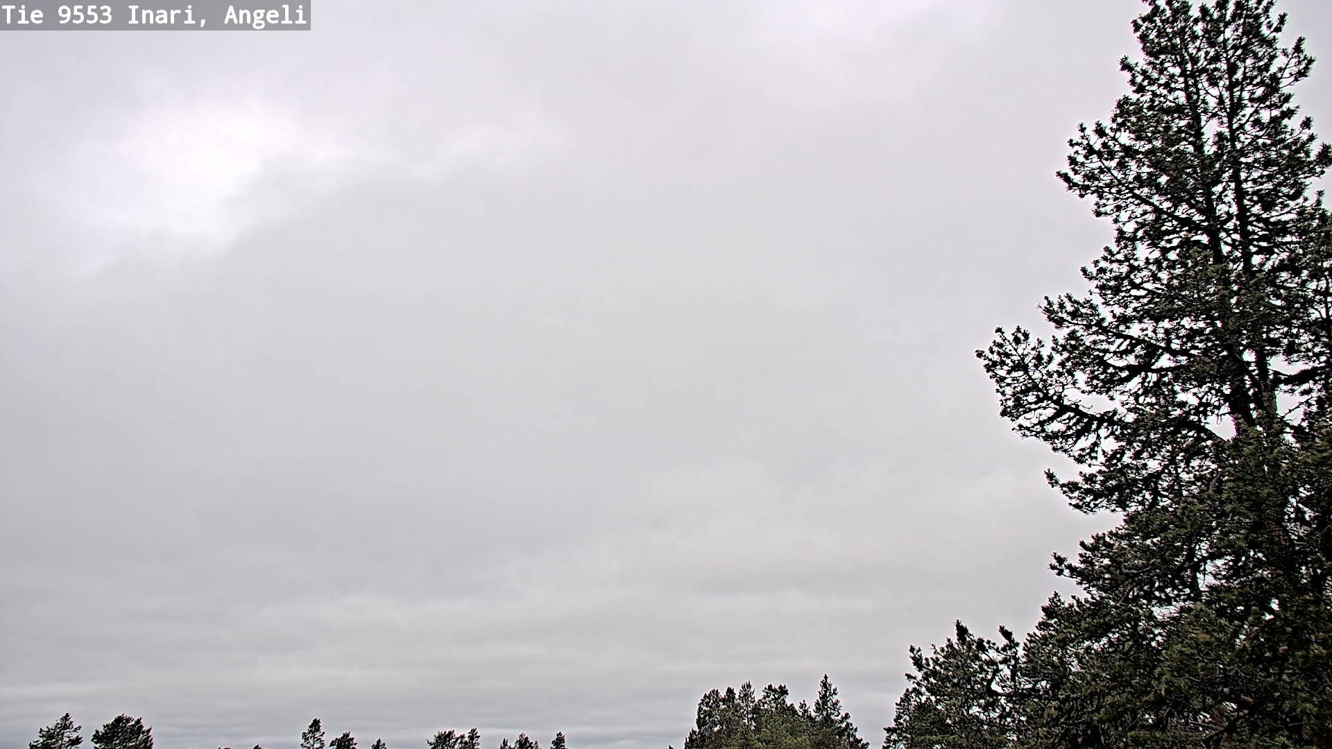 Weather Camera Image Road 9553 Inari, Angeli, Lintupuolivaara, Inari, Lappi