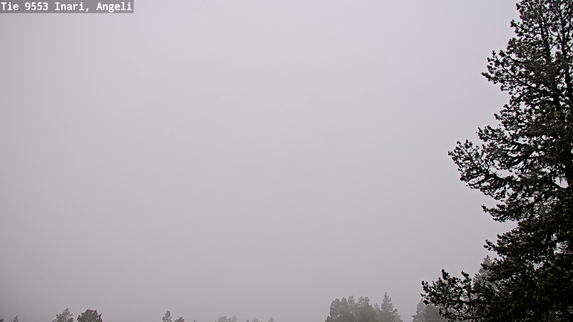 Weather Camera Image Road 9553 Inari, Angeli, Lintupuolivaara, Inari, Lappi