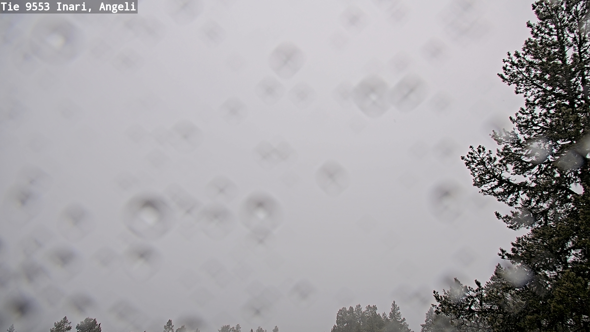 Kelikamerat Kuva Tie 9553 Inari, Angeli, Lintupuolivaara, Inari, Lappi