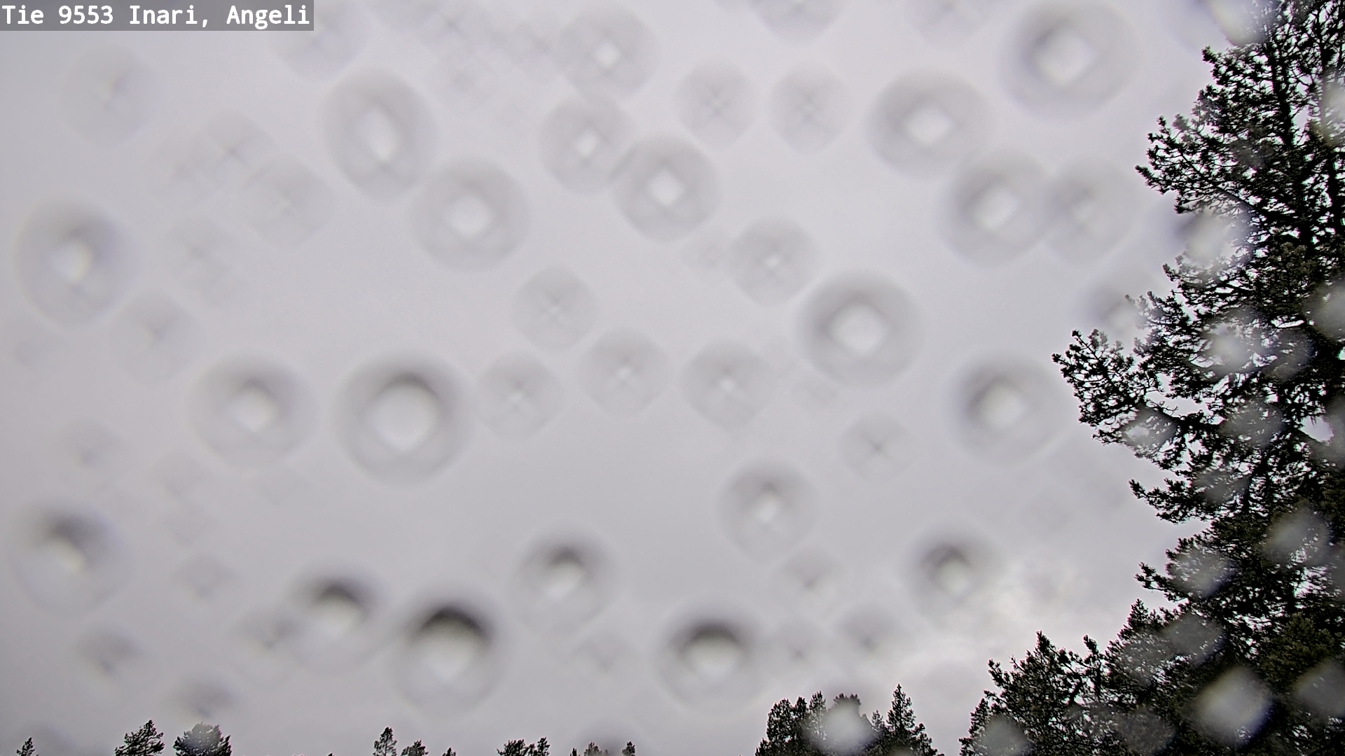 Kelikamerat Kuva Tie 9553 Inari, Angeli, Lintupuolivaara, Inari, Lappi