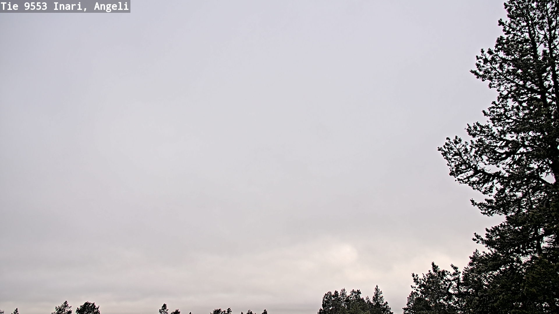 Weather Camera Image Road 9553 Inari, Angeli, Lintupuolivaara, Inari, Lappi