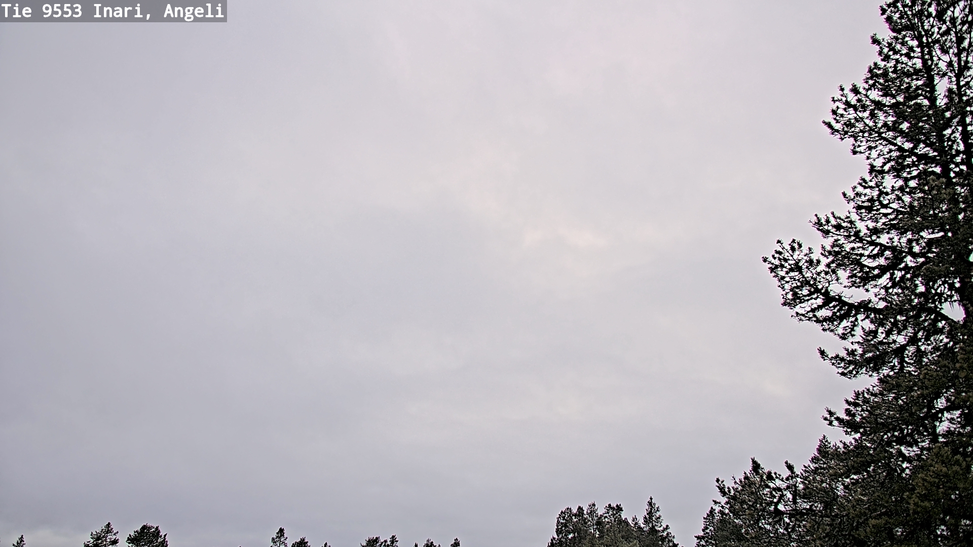 Kelikamerat Kuva Tie 9553 Inari, Angeli, Lintupuolivaara, Inari, Lappi