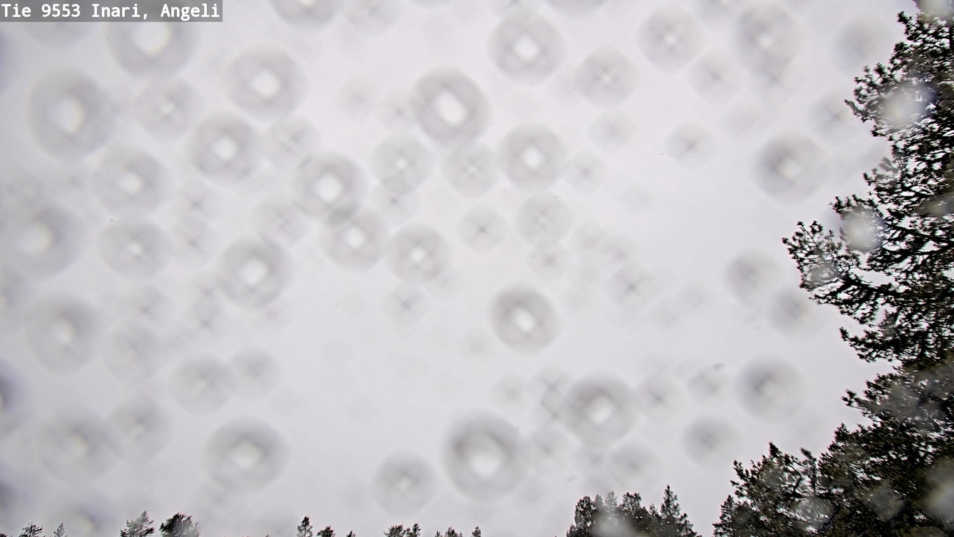 Kelikamerat Kuva Tie 9553 Inari, Angeli, Lintupuolivaara, Inari, Lappi