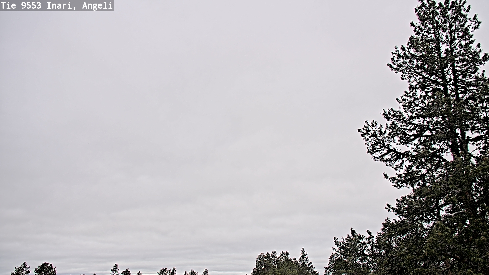 Weather Camera Image Väg 9553 Inari, Angeli, Lintupuolivaara, Inari, Lappi