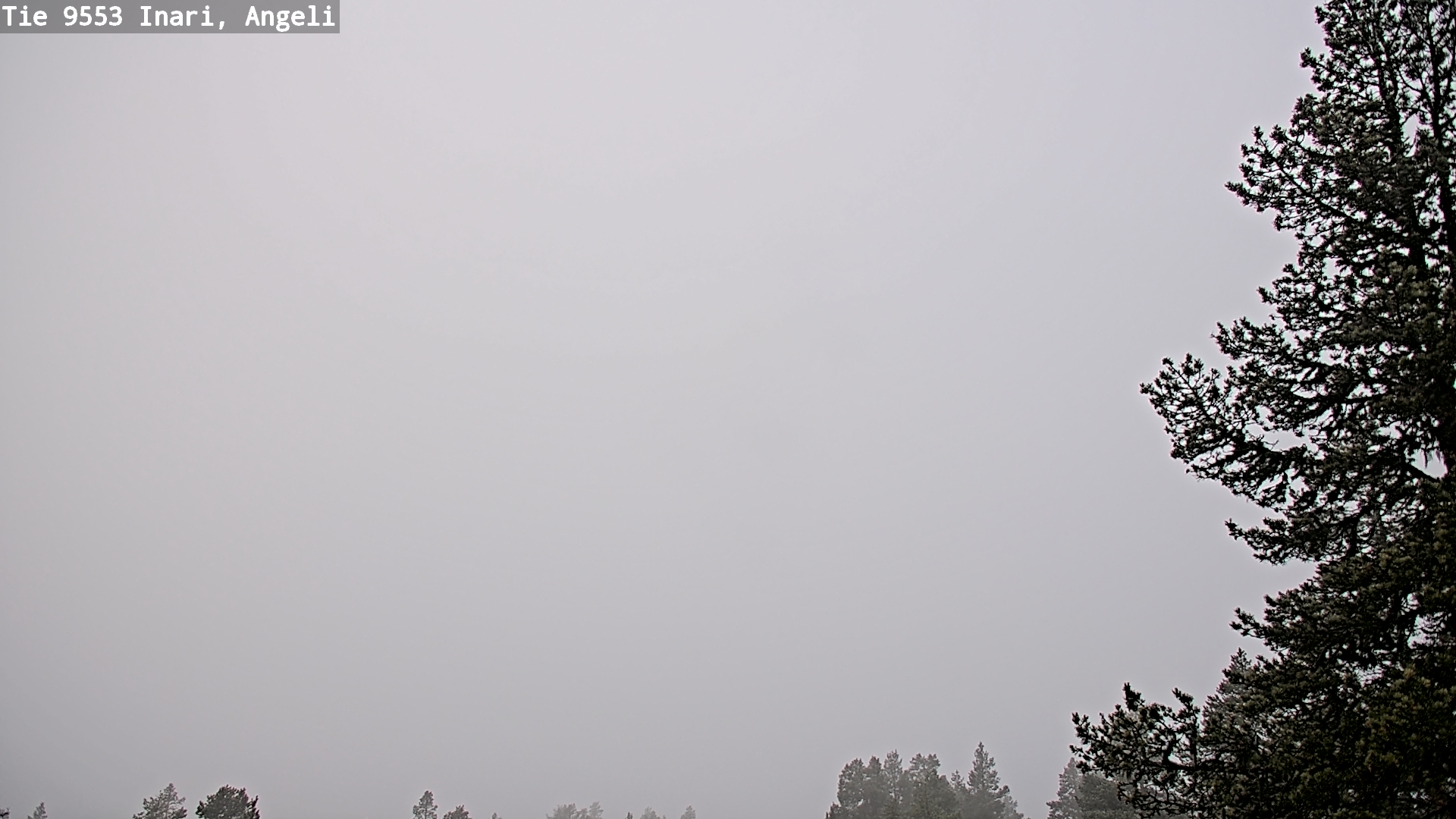 Weather Camera Image Road 9553 Inari, Angeli, Lintupuolivaara, Inari, Lappi