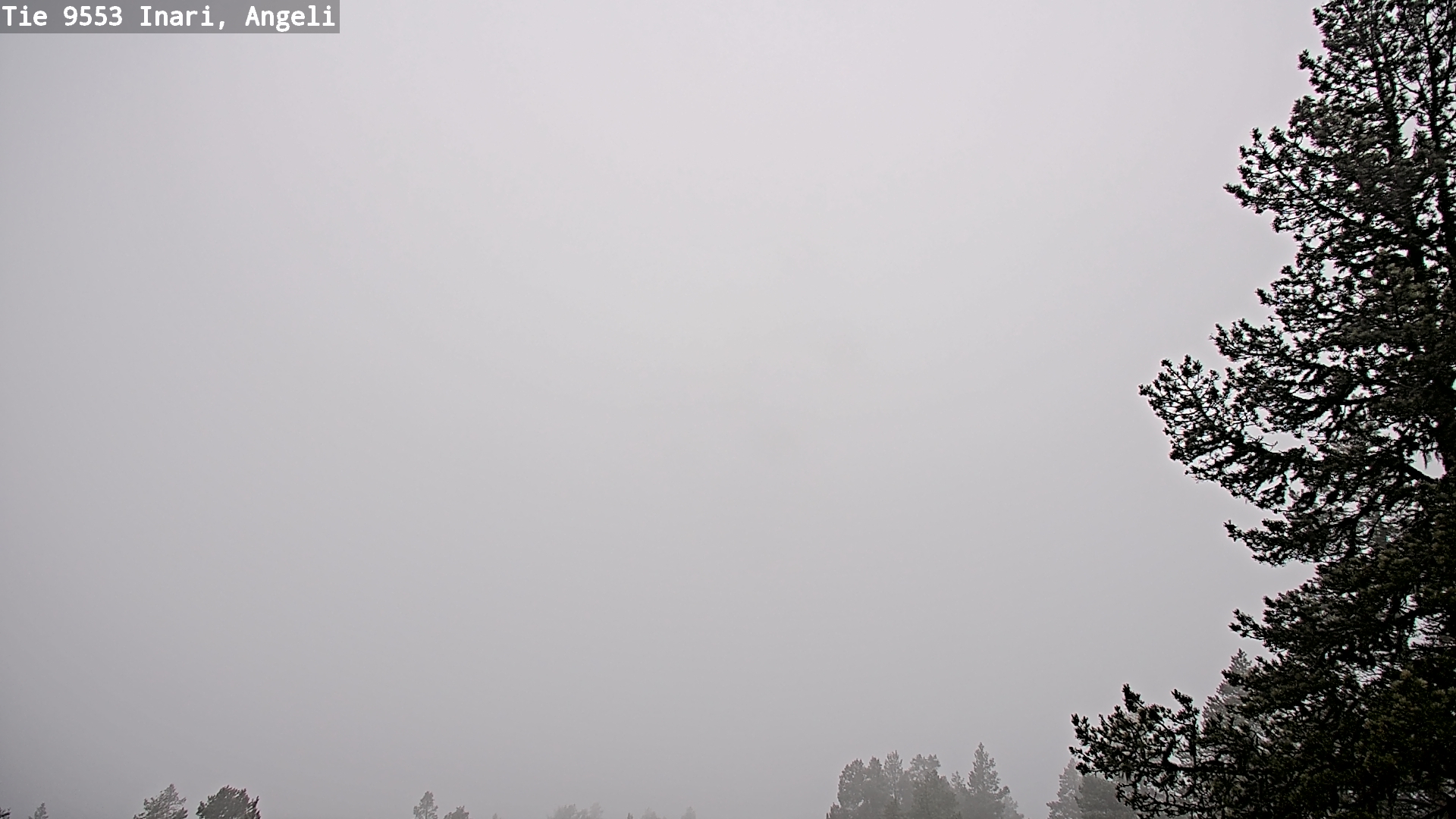 Weather Camera Image Road 9553 Inari, Angeli, Lintupuolivaara, Inari, Lappi