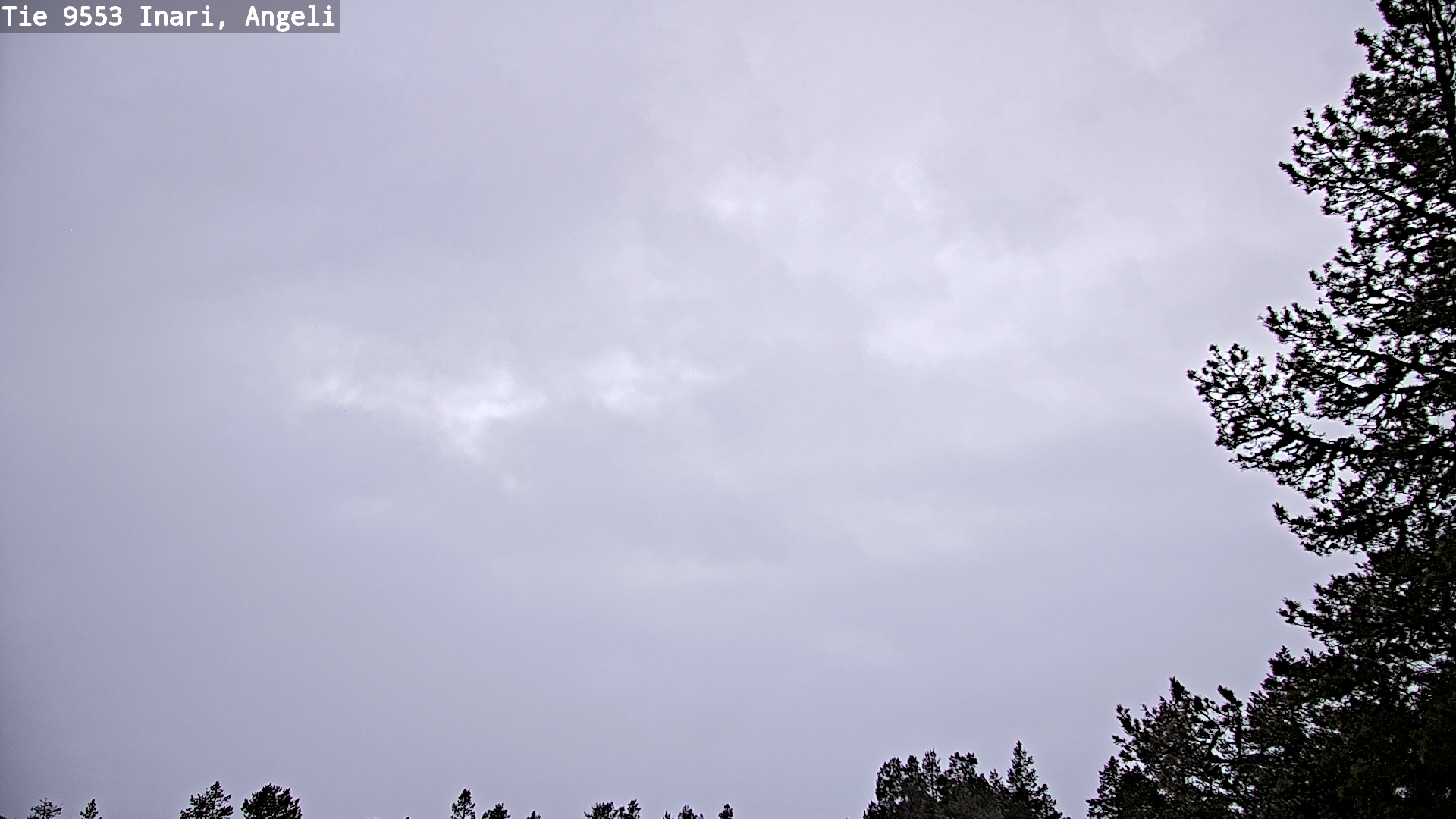 Kelikamerat Kuva Tie 9553 Inari, Angeli, Lintupuolivaara, Inari, Lappi