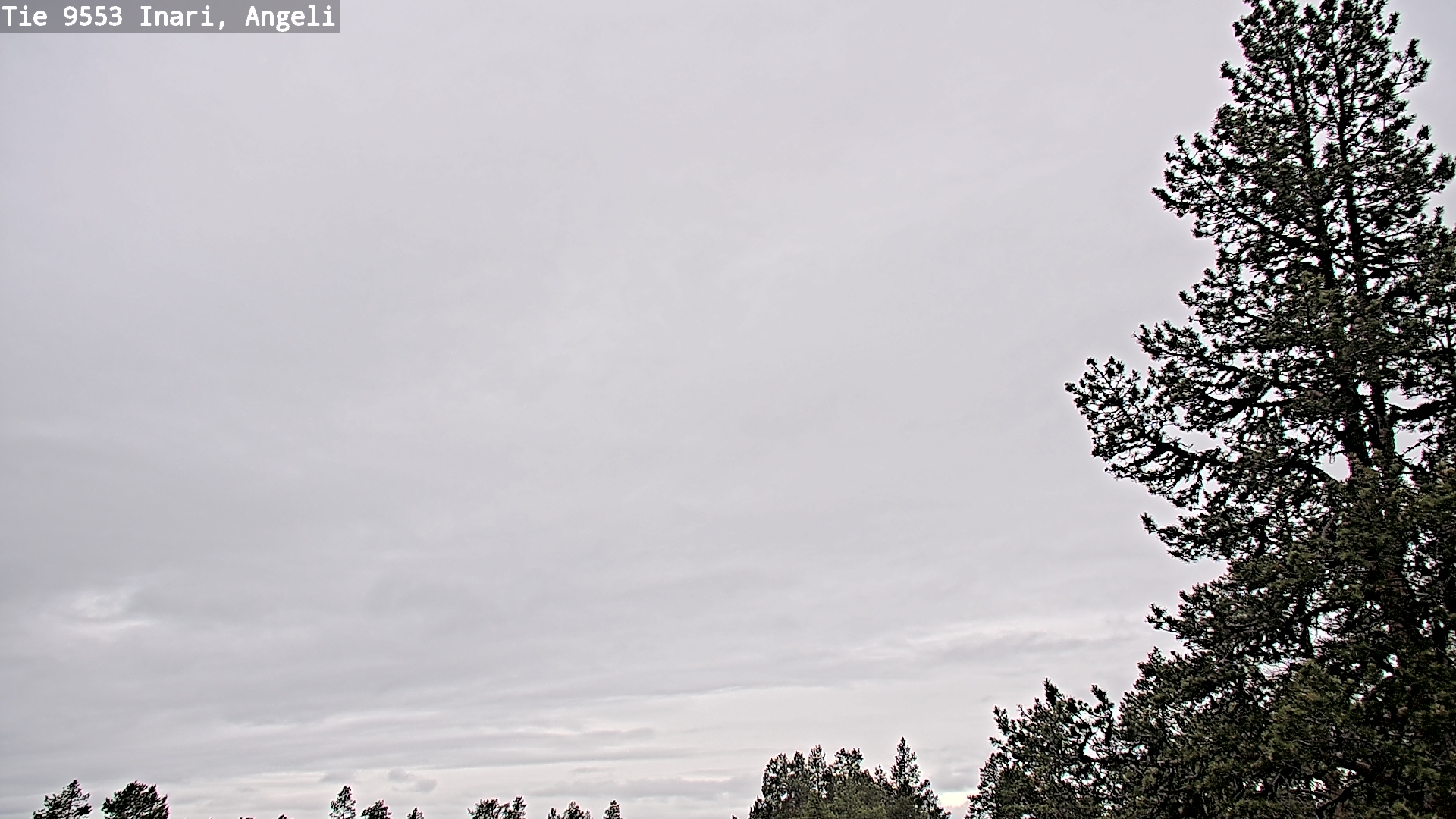 Weather Camera Image Väg 9553 Inari, Angeli, Lintupuolivaara, Inari, Lappi