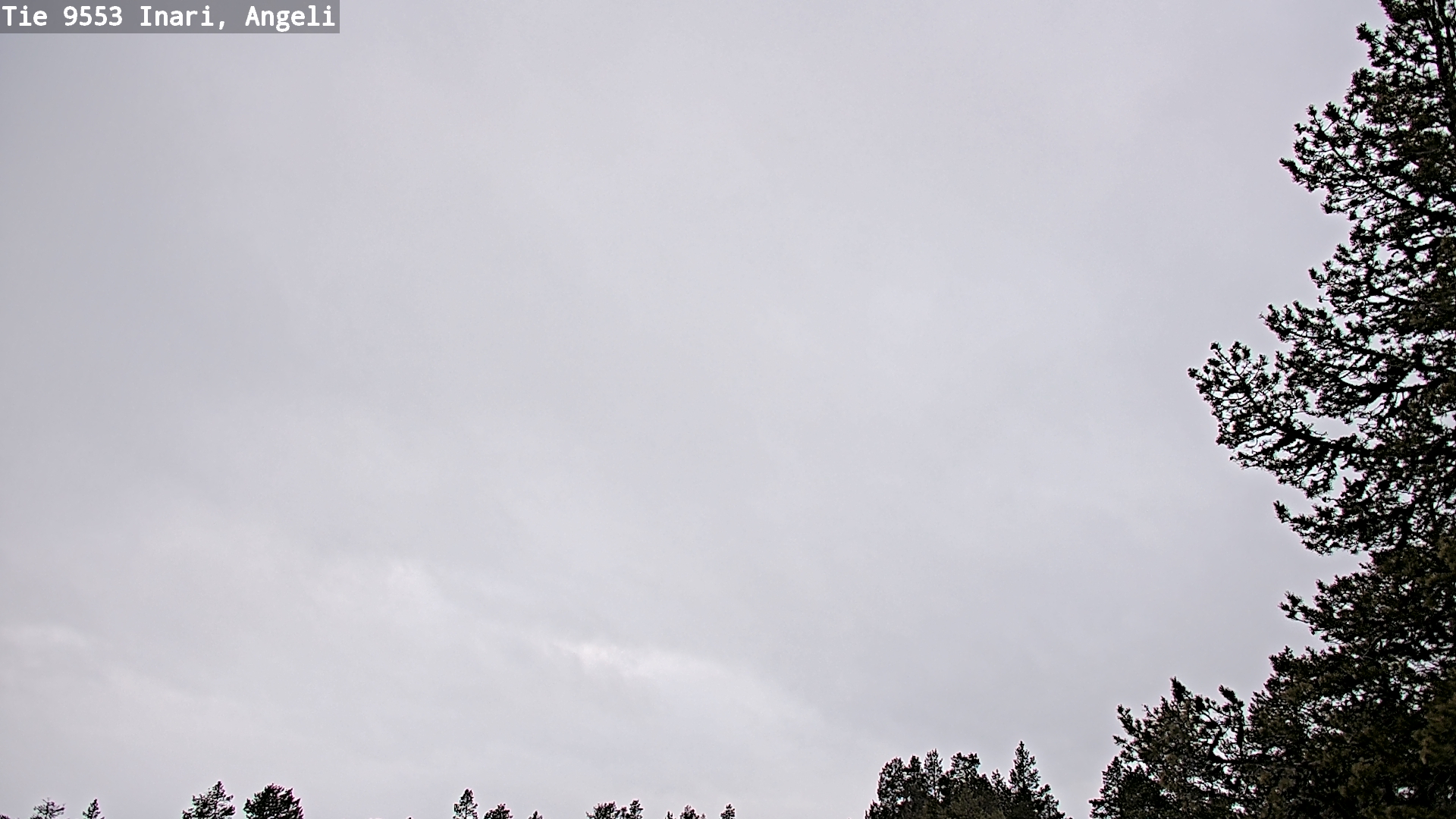 Weather Camera Image Road 9553 Inari, Angeli, Lintupuolivaara, Inari, Lappi