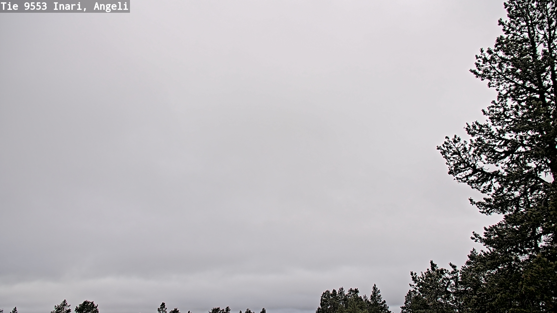 Weather Camera Image Road 9553 Inari, Angeli, Lintupuolivaara, Inari, Lappi
