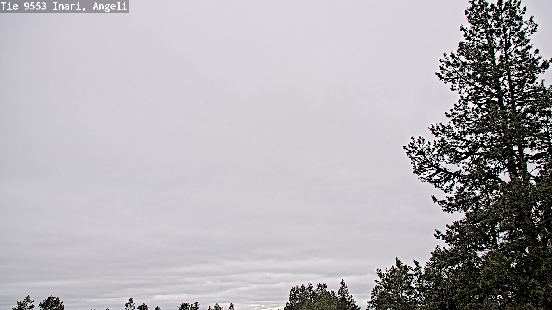 Weather Camera Image Väg 9553 Inari, Angeli, Lintupuolivaara, Inari, Lappi