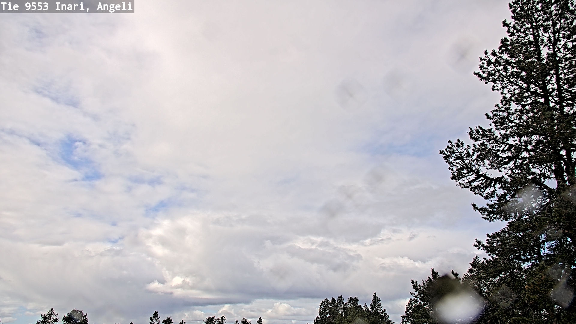 Weather Camera Image Road 9553 Inari, Angeli, Lintupuolivaara, Inari, Lappi