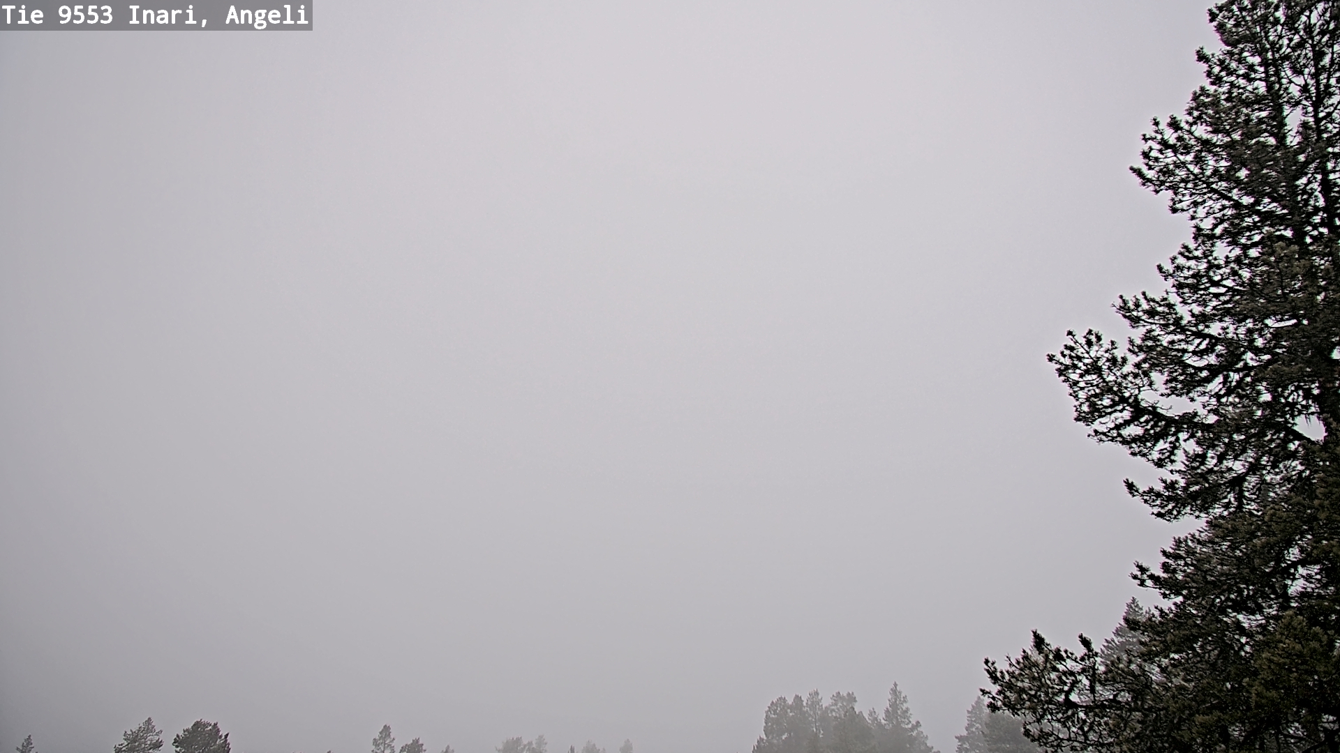 Kelikamerat Kuva Tie 9553 Inari, Angeli, Lintupuolivaara, Inari, Lappi