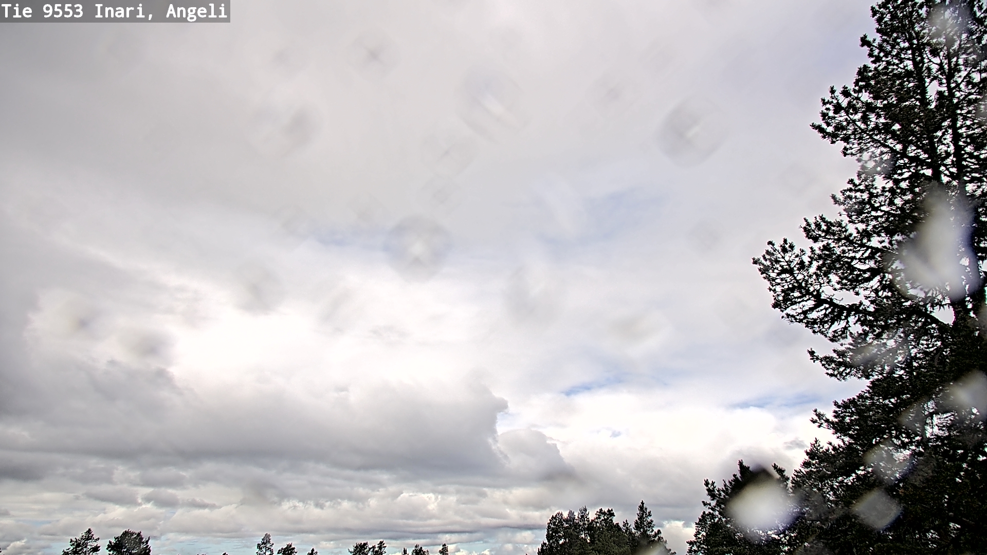 Weather Camera Image Road 9553 Inari, Angeli, Lintupuolivaara, Inari, Lappi