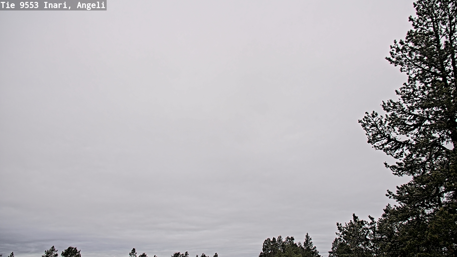 Kelikamerat Kuva Tie 9553 Inari, Angeli, Lintupuolivaara, Inari, Lappi